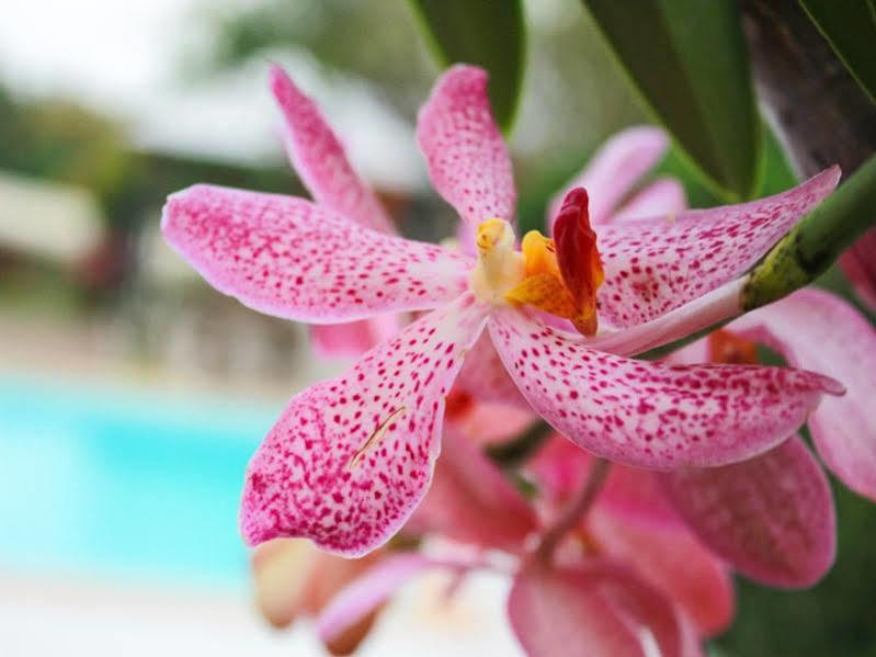 Kanvela Resort Kanchanaburi Dış mekan fotoğraf